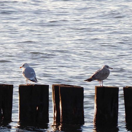 Iwan Ferienwohnungen Objekt 26001 Rostock Dış mekan fotoğraf